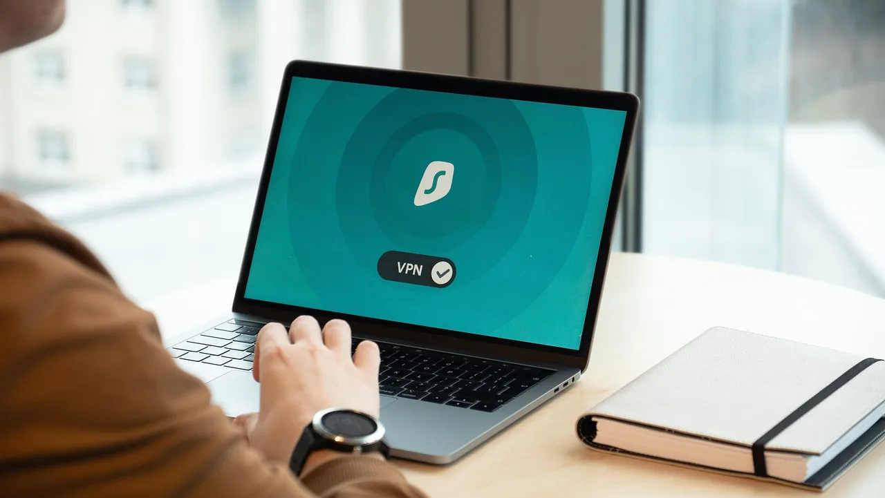 computer, screen, nature, vpn, security, desktop, office, working, plant, data, digital, workspace, smart, privacy, online, networking, business, modern, connection, information